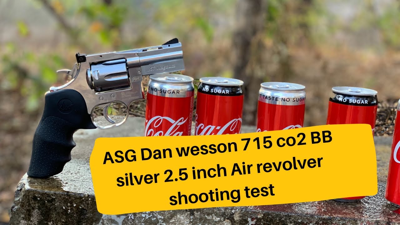 ASG Dan wesson 715 co2 BB silver 2.5 inch Air revolver shooting test