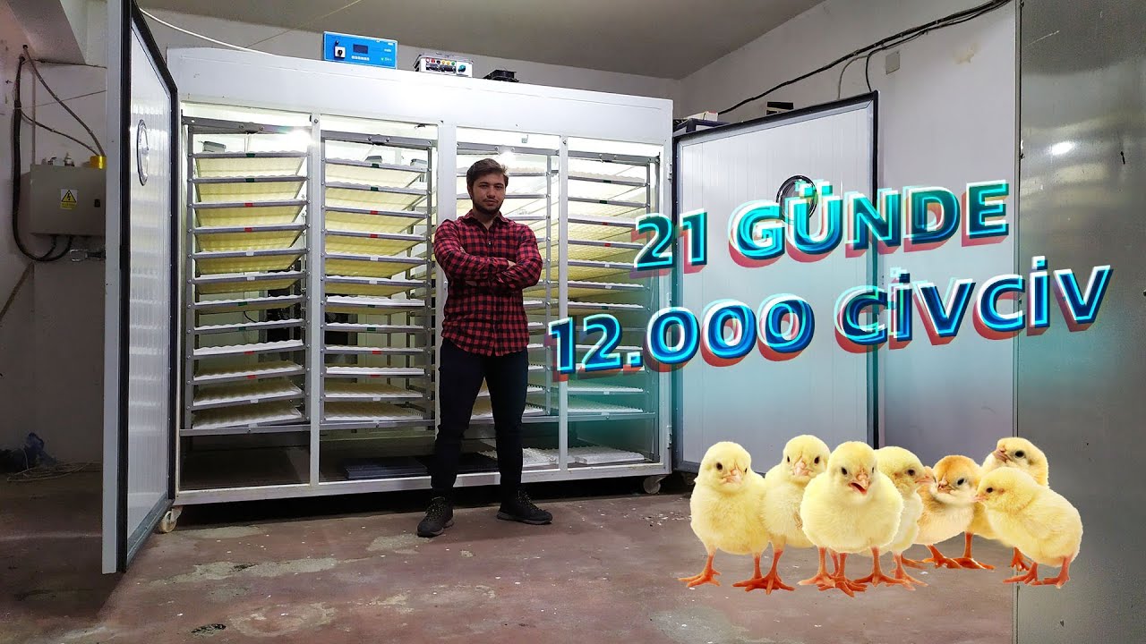 Dev Kuluçka Makinası Yaptım |12k kapasiteli