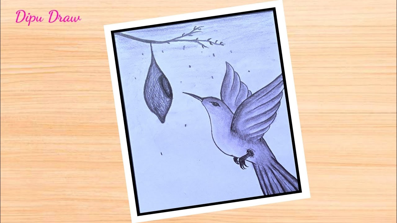 How to draw weaver bird nest ।। Bird nest drawing easy step by step ।। Bird drawing ।। Dipu Draw 💚