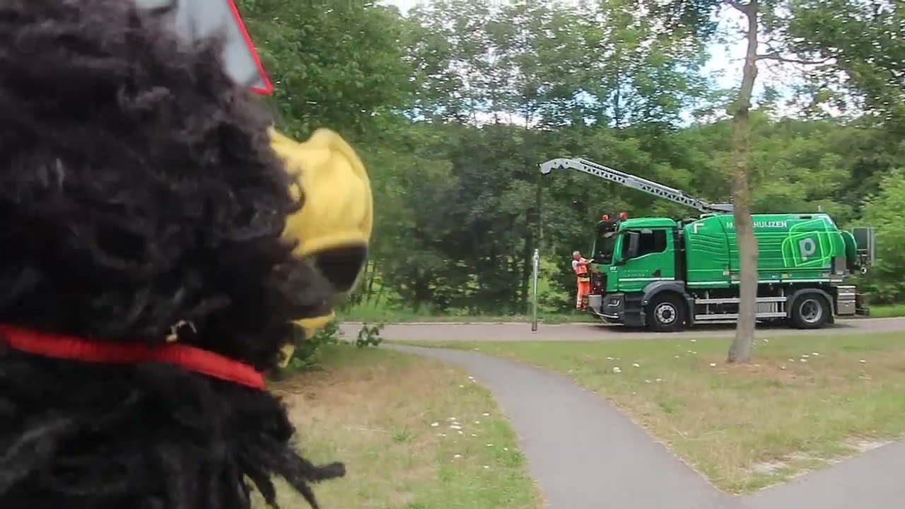 Beestenboeltje Zutphen. kijkt niet weg.. Kolken reiniger..