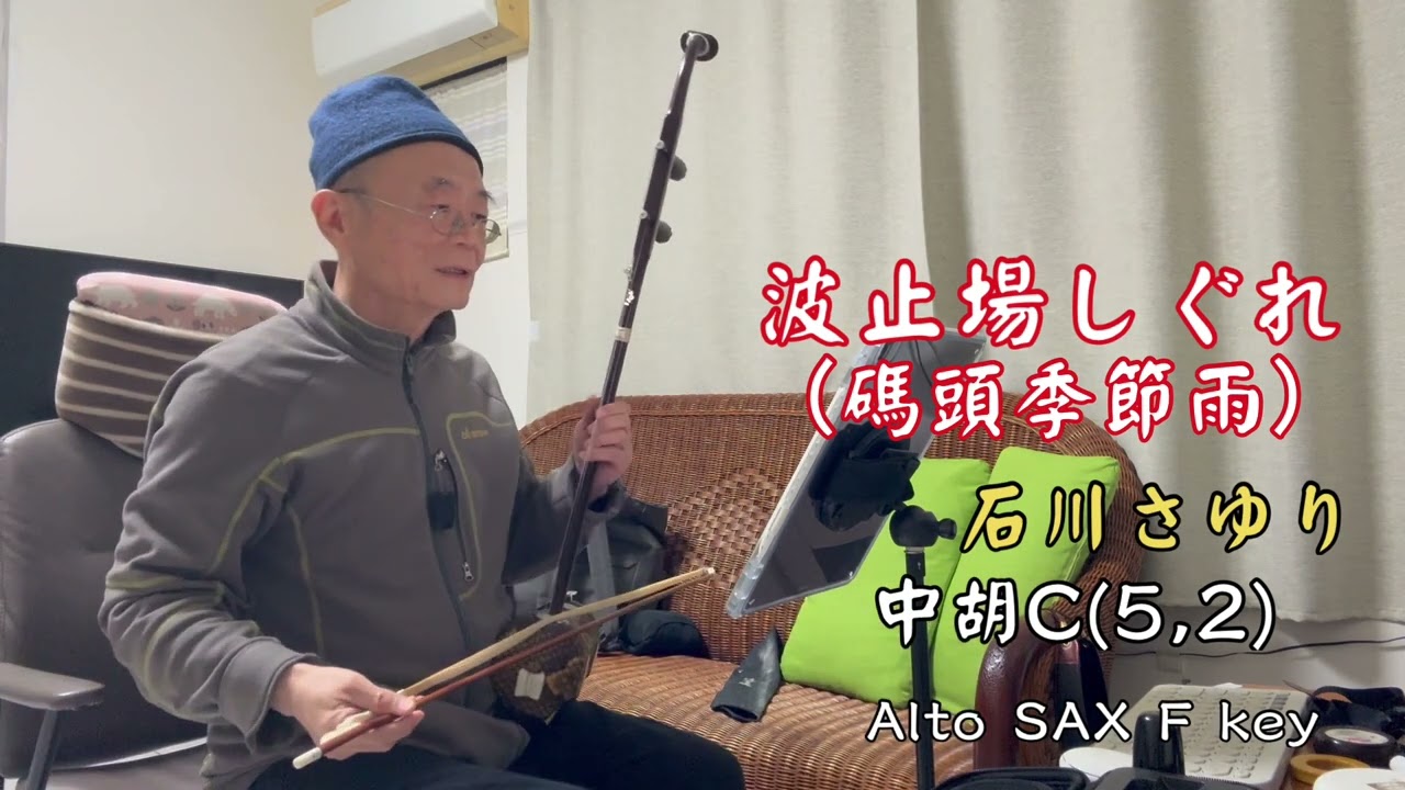 阿舜中胡