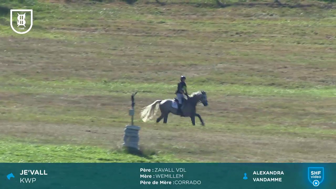 Pompadour 2019 - Cross - JE'VALL, Champion CL2