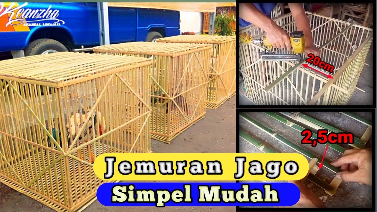 Membuat Kandang Ayam Sederhana Dan Mudah | bamboo chicken coop