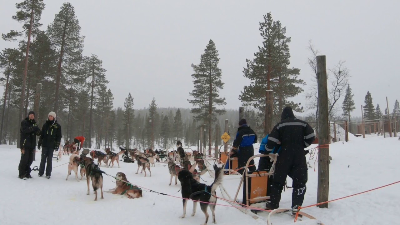 Husky Safari excursion from Wilderness Hotel Muotka, Finland - Frozen Lake Husky