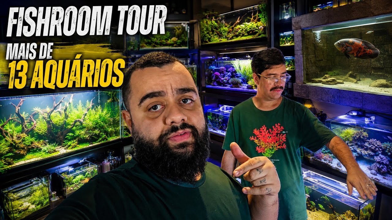 TOUR COMPLETO NA FISHROOM DO RAPHA COM MAIS DE 13 AQU&Aacute;RIOS E TERR&Aacute;RIOS