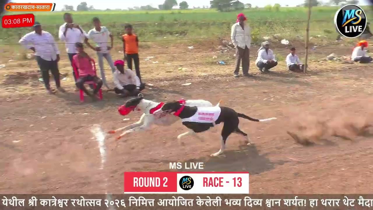 ROUND - 2 - 1 TO 18 भव्य दिव्य श्वान शर्यत - कातरखटाव २०२६ | Shri Katreshwar Rathotsav Dog Race