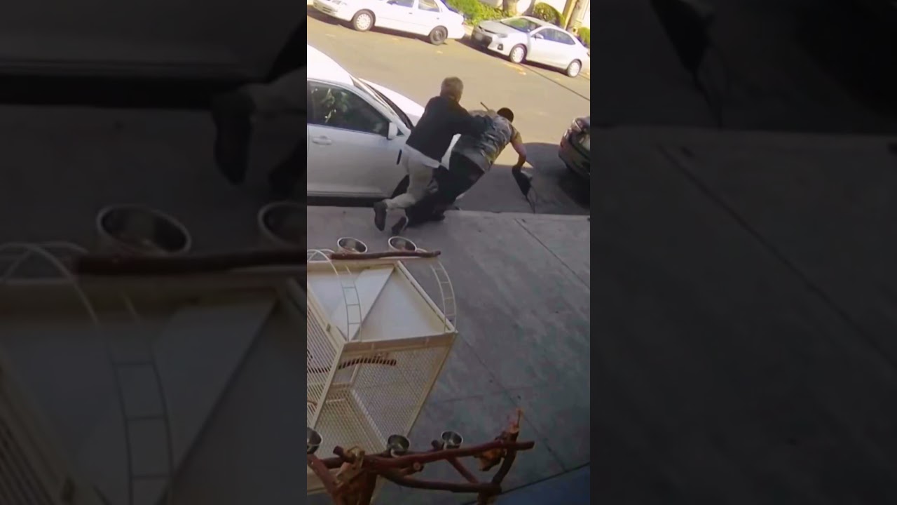 Shop Owner Fights Off Bird Theft Attempt | Customer Wars | A&E #shorts