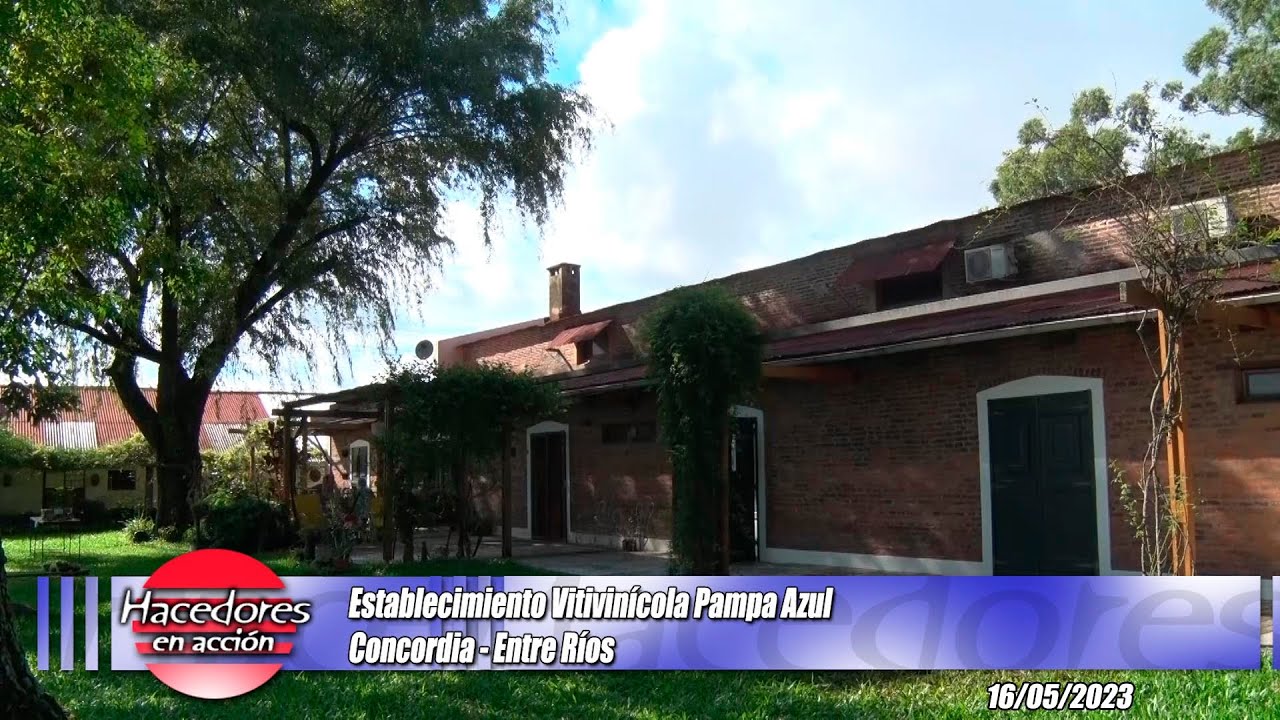 1º Parte - Establecimiento Vitivinícola Pampa Azul - Marta De Pedro