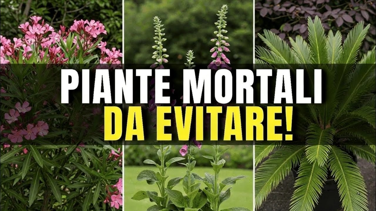 7 piante mortali che i vivai vendono ancora — te ne pentirai di averle comprate