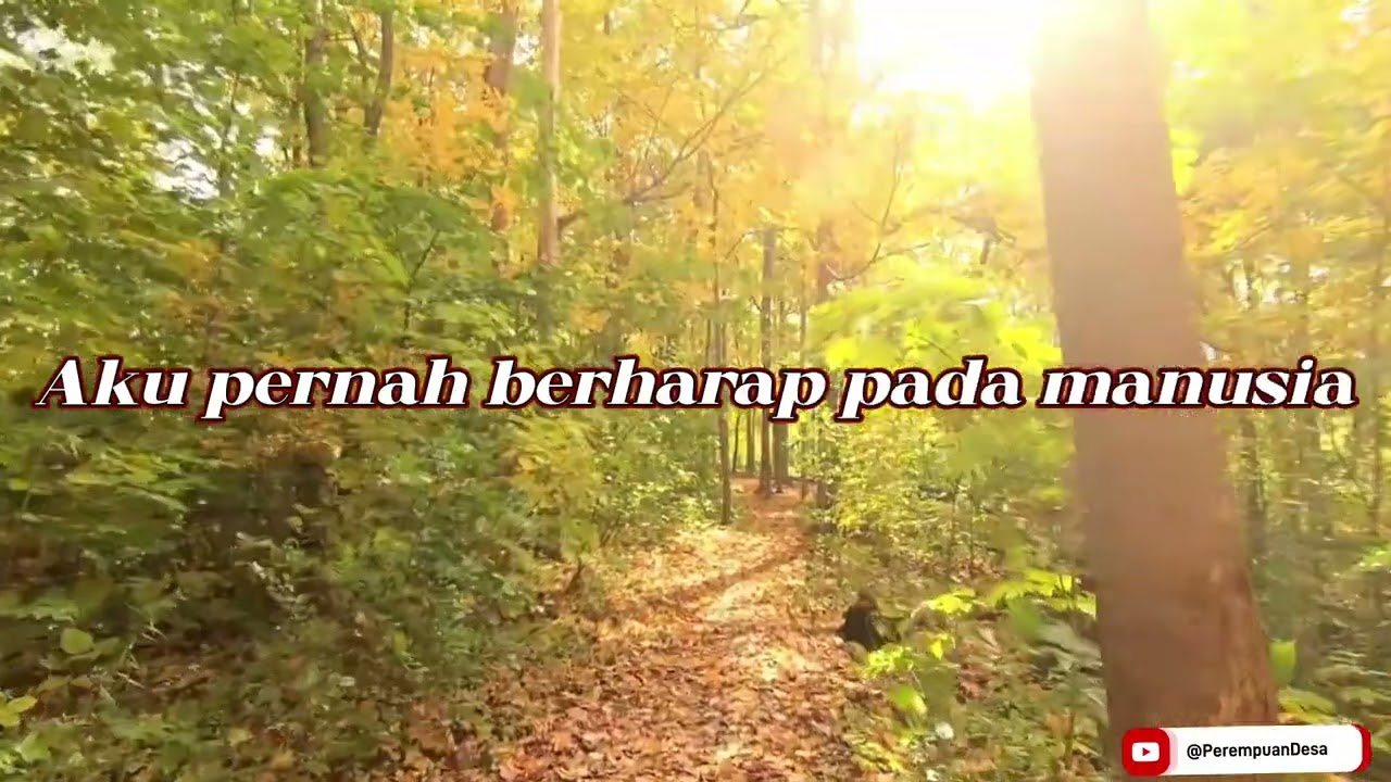 AKU DAN SEPIKU 