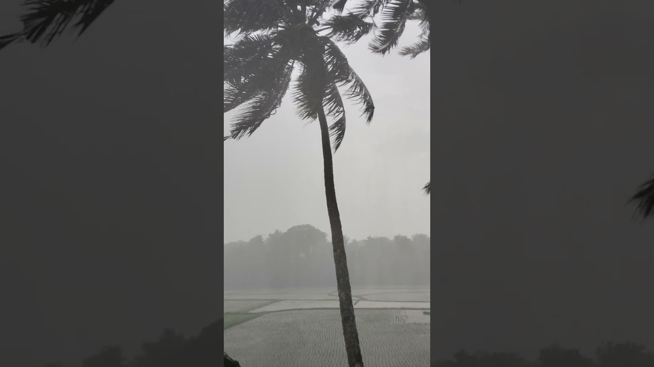 heavy rain in Udupi 🌧️🌧️#viral #rain #udupi #rainfall #youtubeshorts #trending #nature #love