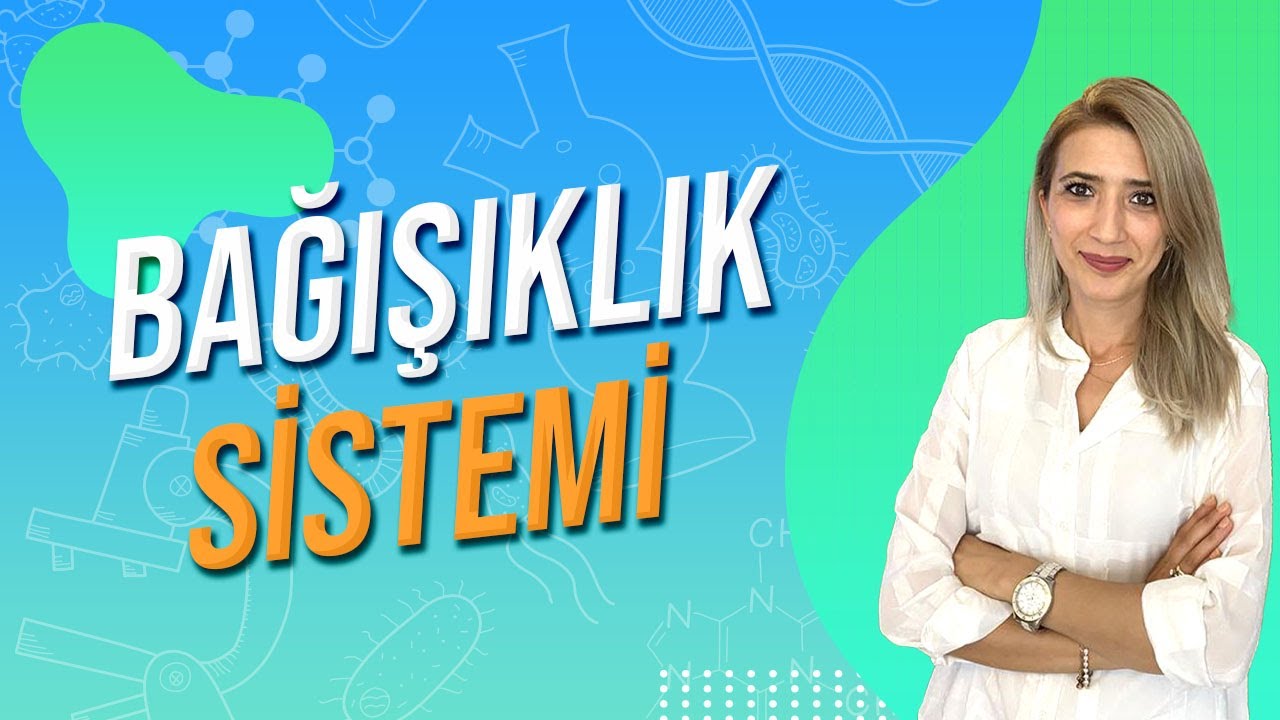 BAĞIŞIKLIK SİSTEMİ | Seda Hoca Biyoloji 🧬#ayt2024