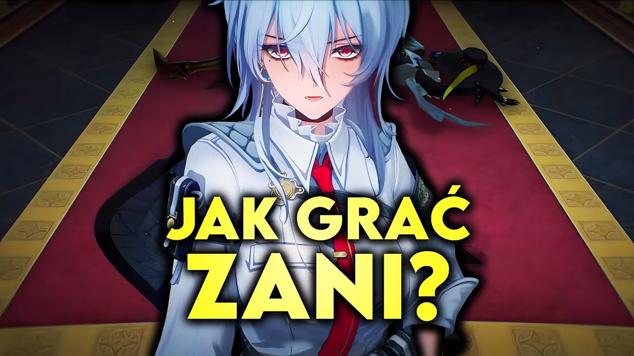 Pełny poradnik do Zani