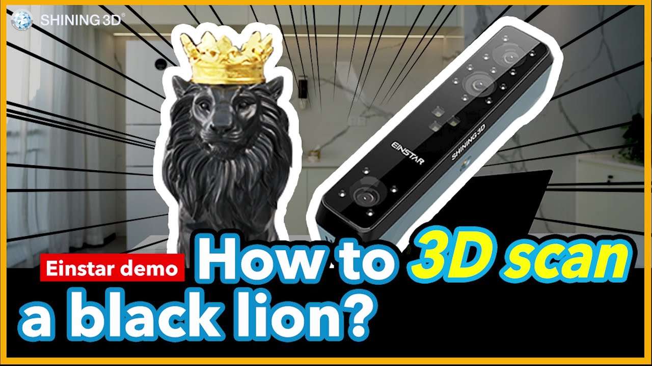 Einstar Demo: How to 3D Scan a Black Lion?