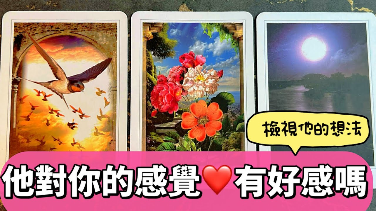 💖他對你的有好感嗎✨對你的想法是..✨感情占卜😇暗戀/告白/確認關係/三角
