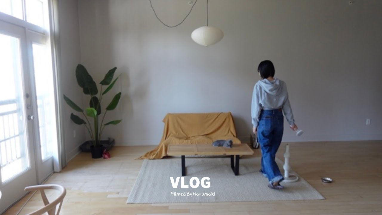 vlog) 最近のインテリア購入品｜IKEA｜Akari｜ペットフレンドリー｜welm