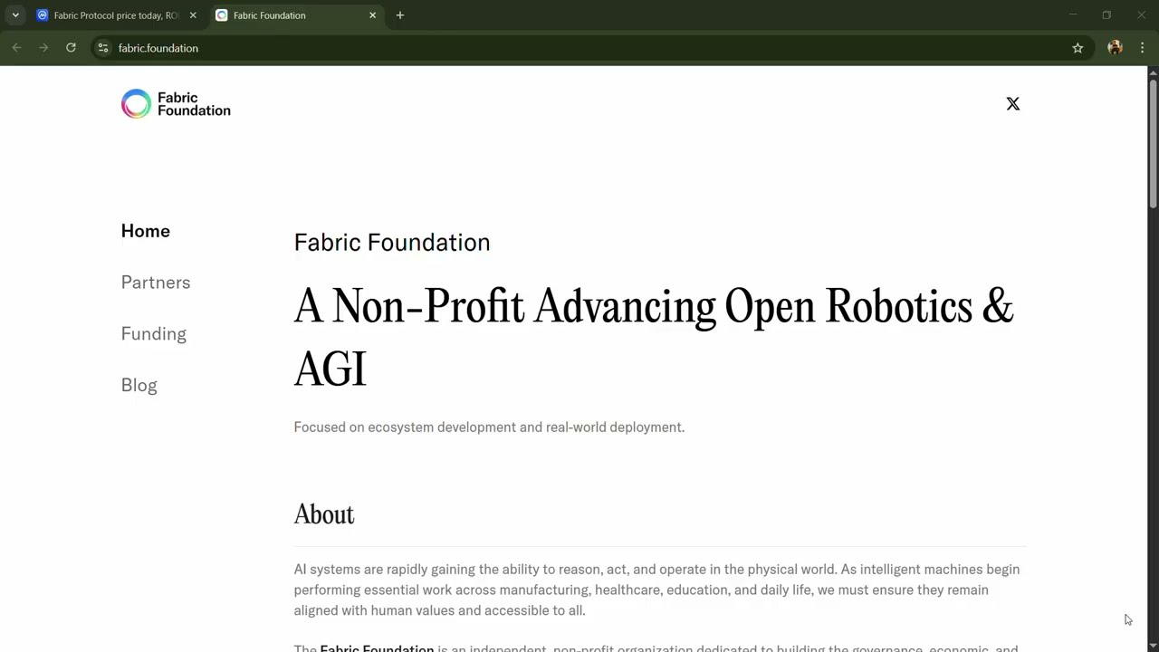 О проекте Fabric Protocol ($ROBO)