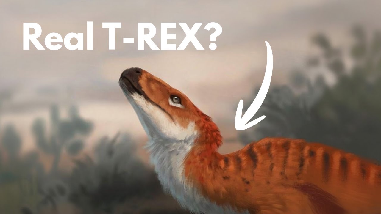 Dinosaurs ACTUALLY were weirder than we thought