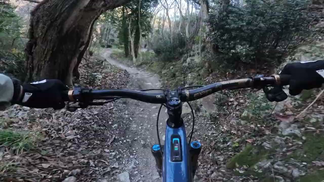 Cà Bianca Old Line