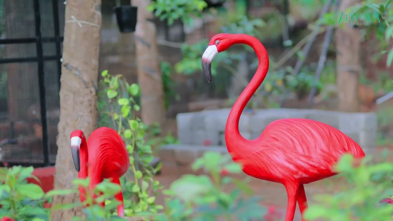 The Gem of God's Own Country -Anamala Homestays Thiruvilwamala.