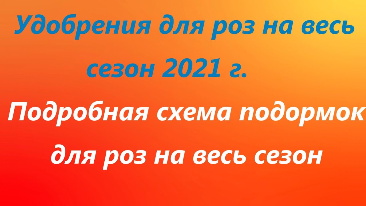 Подкормки роз в 2020 году .Видео №2,БАКОВЫЕ СМЕСИ И ГРАФИК ПОДКОРМОК С ВЕСНЫ ПО ОСЕНЬ ВКЛЮЧИТЕЛЬНО.