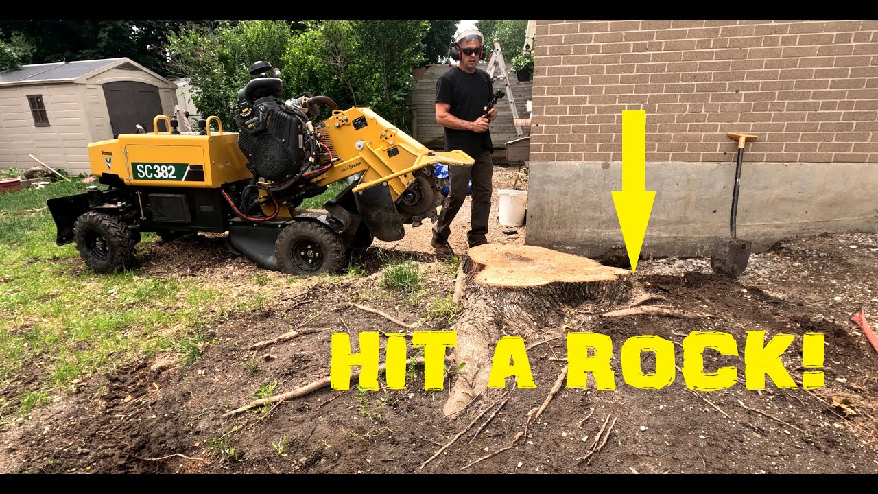 The Stump Slayer: Adventures with Stump Grinding