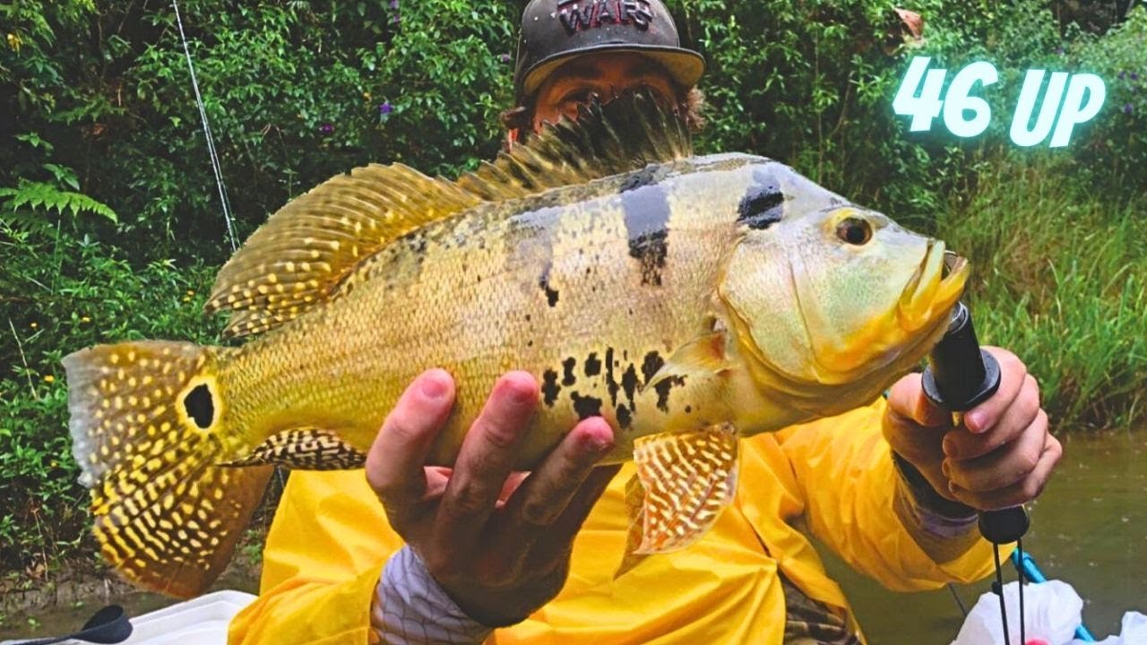 NAZARÉ PAULISTA -  Tem muito TUCUNARÉ GIGANTE nessa REPRESA - ACERTEI O TROFEU !