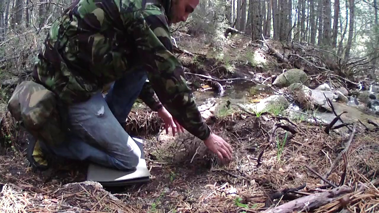 GERMAN ARMY SLEEPING MAT