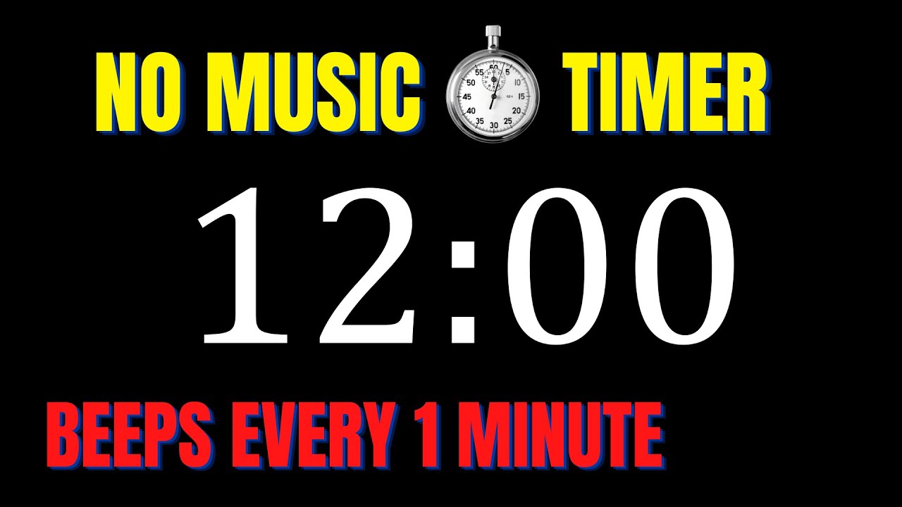 12 Minute Workout Countdown Timer with 1 Minute Interval Beeps | NO MUSIC