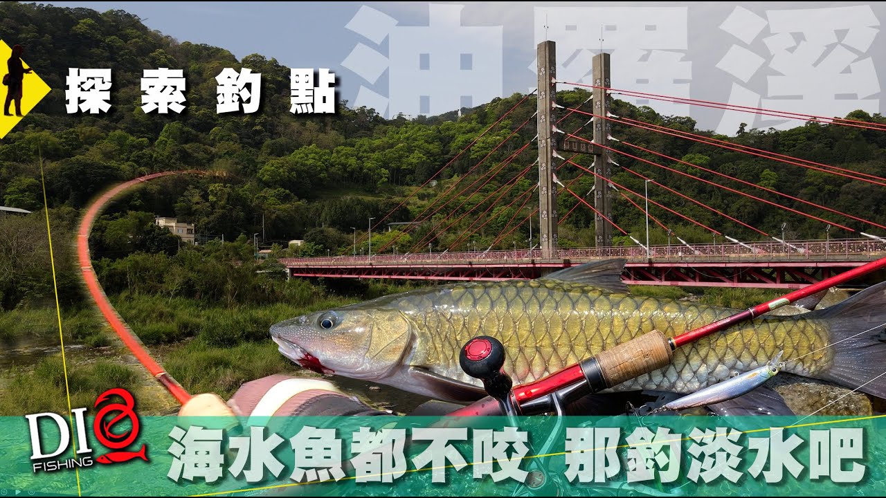 探索✅釣點－油羅溪狂爆水表 捲仔 何氏棘鲃 🐟 Shimano WORLD SHAULA Technical Edition S66L-2/MD 🐟  DIO魚Fishing