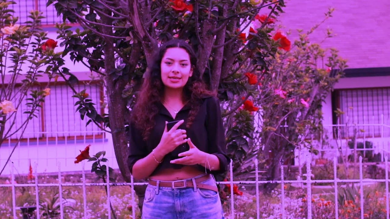 Tutorial sobre el uso b&aacute;sico del color en el cine; por Manuela Silva