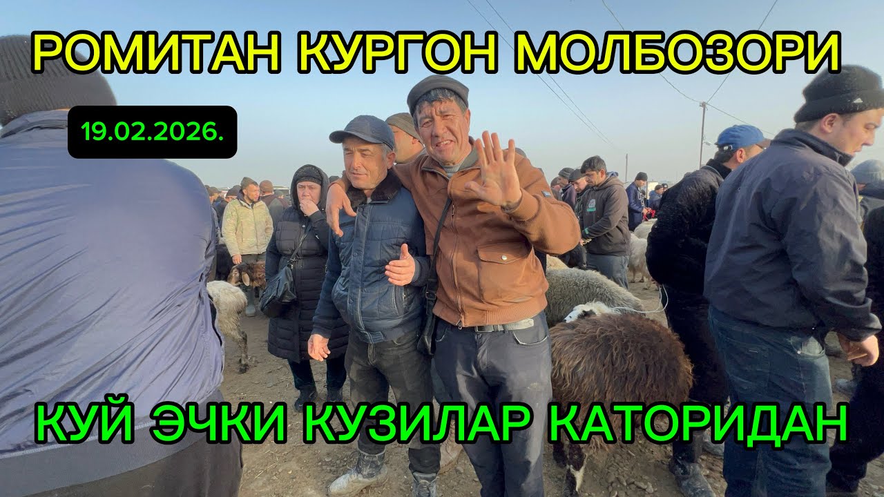 РОМИТАН КУРГОН МОЛБОЗОРИ КУЙ ЭЧКИ КУЗИ НАРХЛАРИ 19.02.26