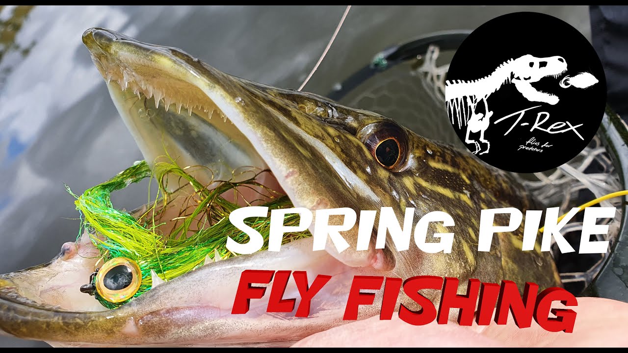 Majowe szczupaki na muchę / Spring pike fly fishing