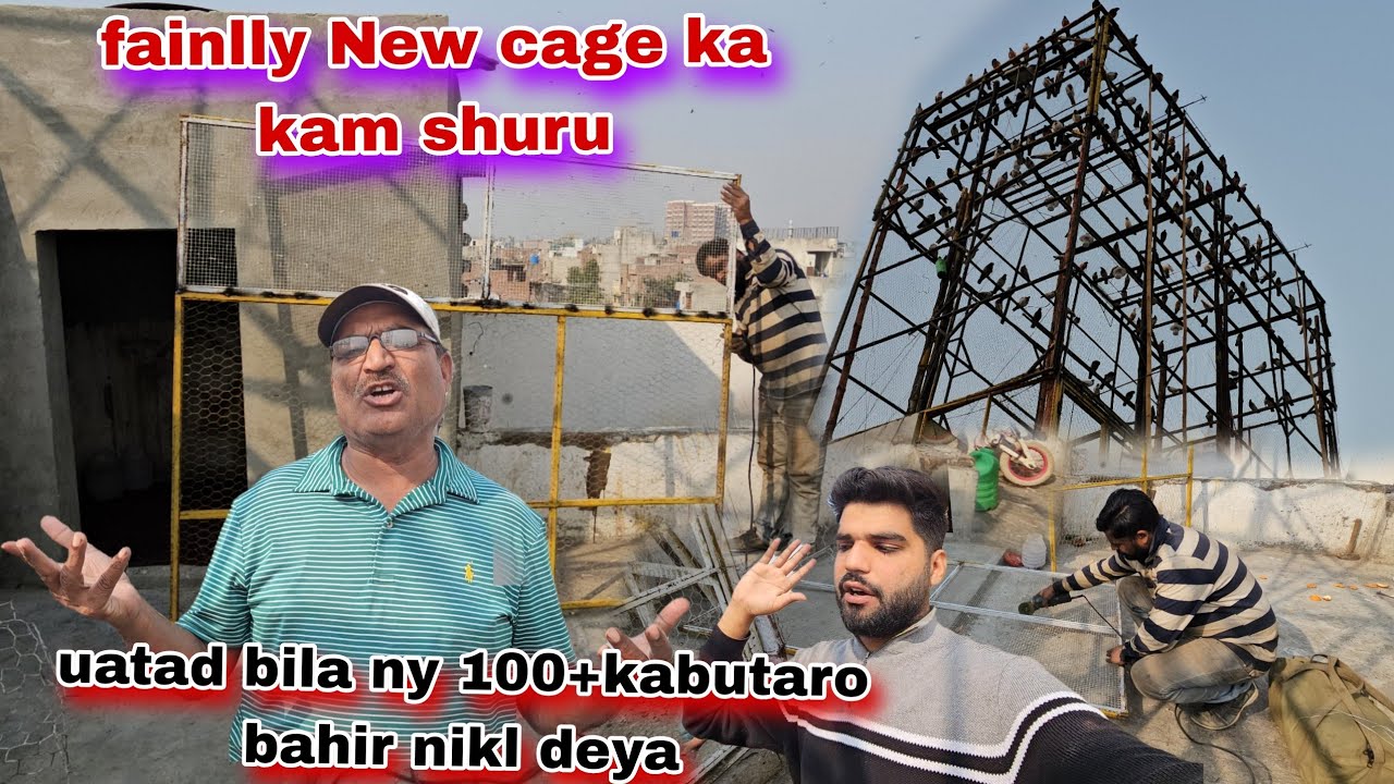Fainlly cage ka km shuru kr deya😯welding ka km shuru uatad bila ny 100+kabutar bahir nikaly