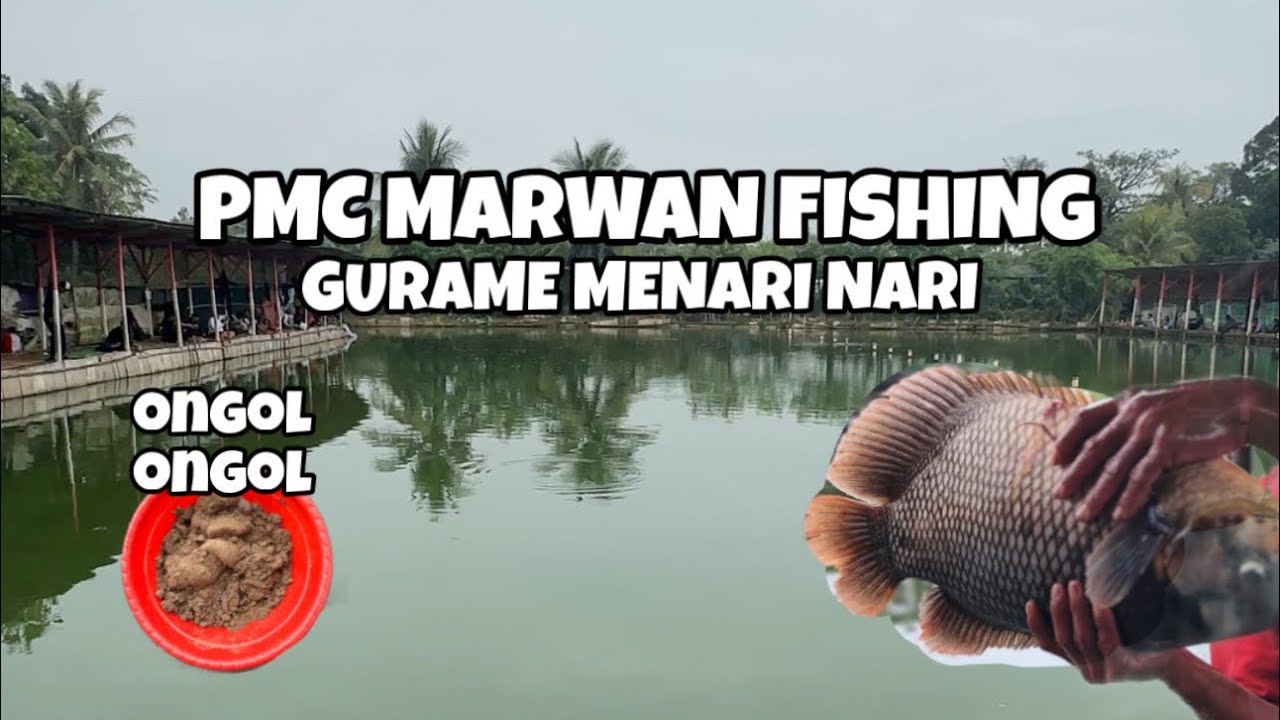 PEMANCINGAN MARWAN FISHING || ONGOL ONGOL MENARI NARI DI SINI