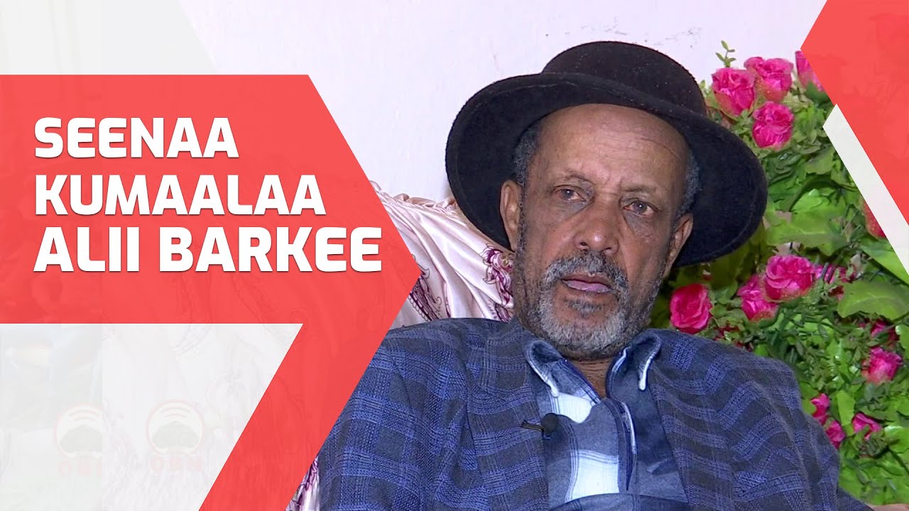 Dokmantarii Seenaa Kumaalaa Alii Barkee