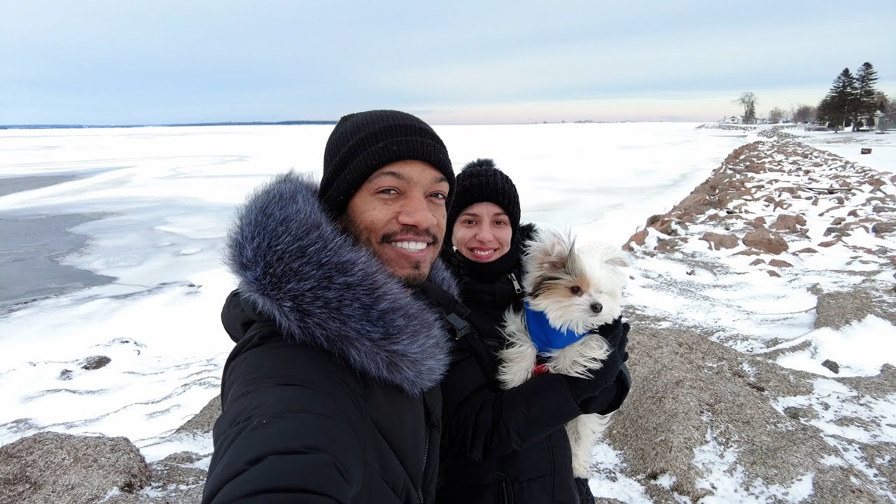 Nosso processo de IMIGRAÇÃO para Moncton CANADA! Job offer, Visto, College, Estudo, Trabalho