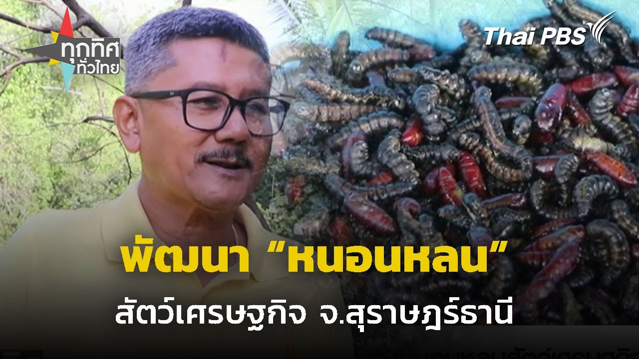 พัฒนา 