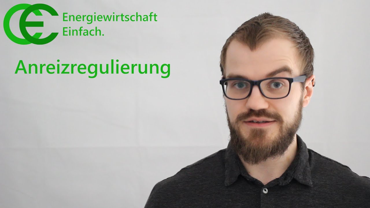 Anreizregulierung
