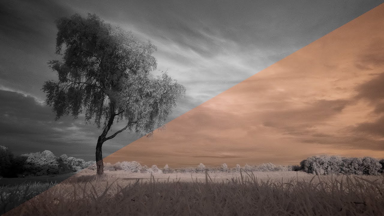 Infrared Photos On My Fujifilm XE2