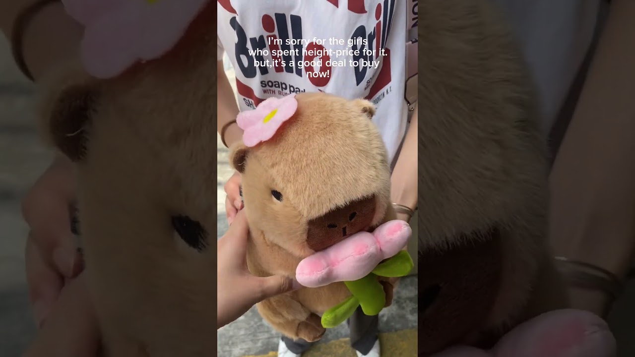Cute capybara plushie gifts for graduation! #capybara #toys #plush