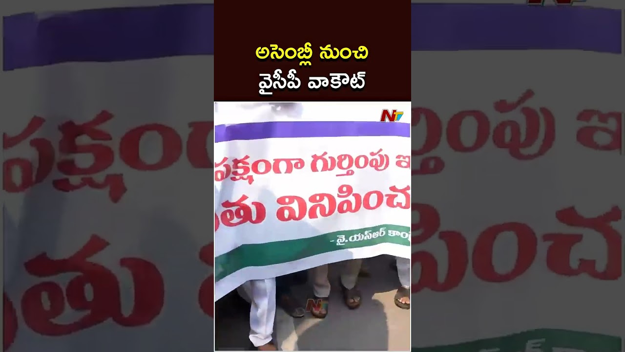 YS Jagan & YCP Leaders Walkout from AP Assembly Sessions: అసెంబ్లీ నుంచి వైసీపీ వాకౌట్ | NTV Telugu