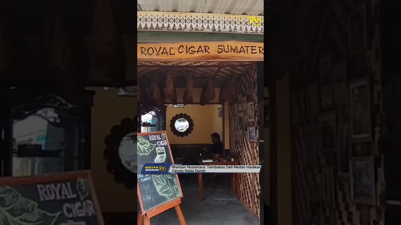 BERITA MEDAN | WARISAN NUSANTARA: TEMBAKAU DELI MEDAN HASILKAN CERUTU KELAS DUNIA