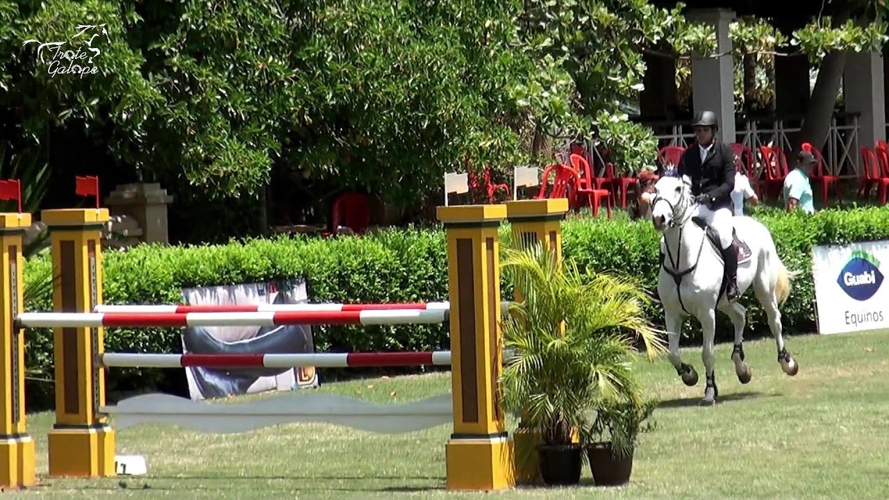 Haras Agromen Salto e Atrelagem - semana dedicada ao cavalo