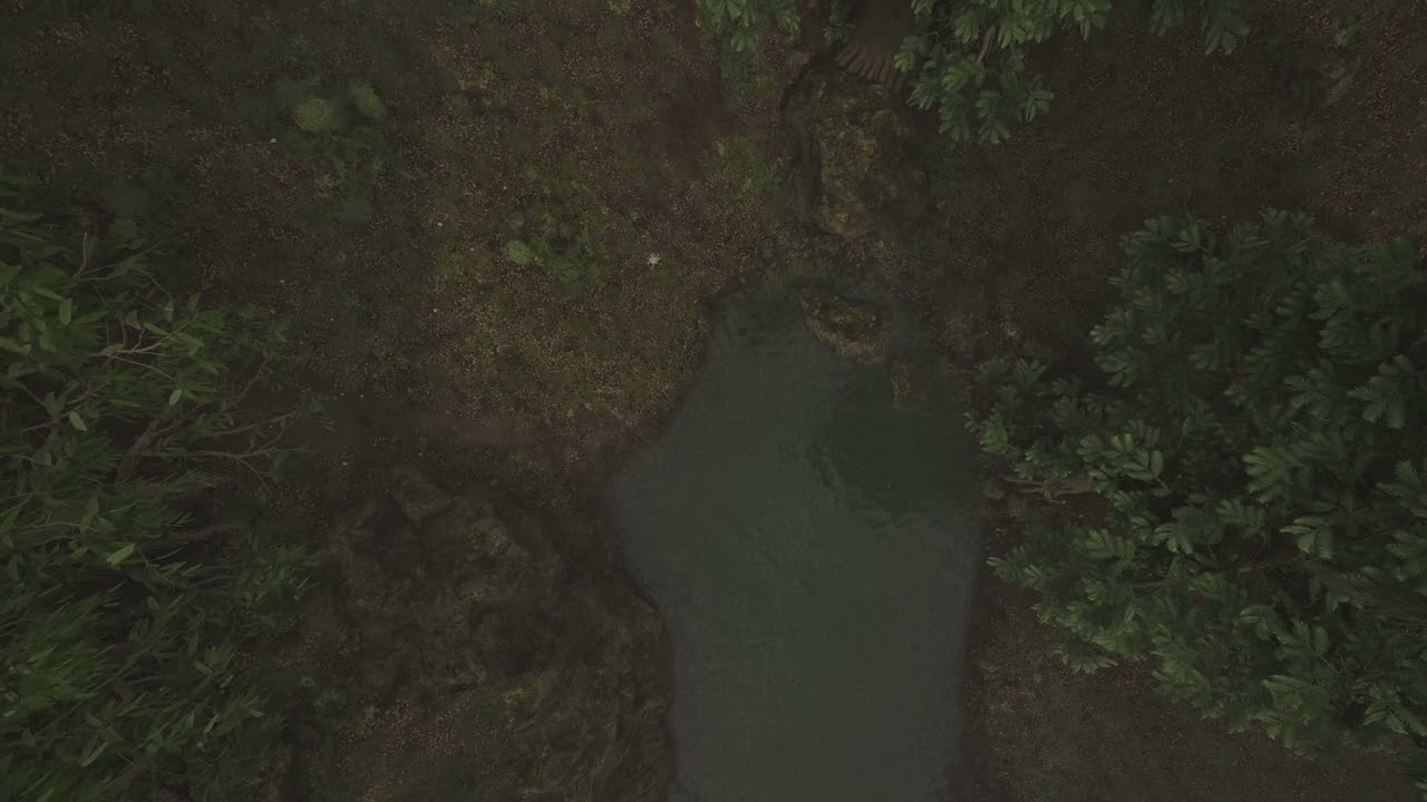 Wetlands - River end