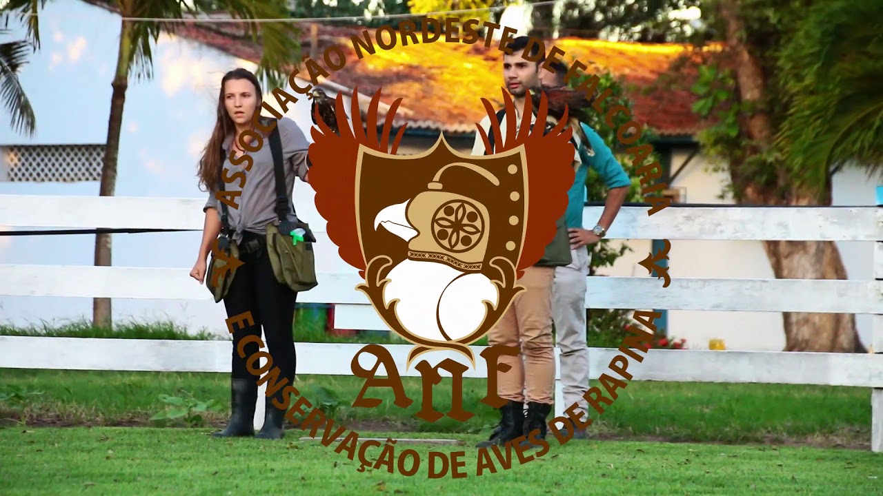 I Competi&ccedil;&atilde;o Nacional de Falcoaria