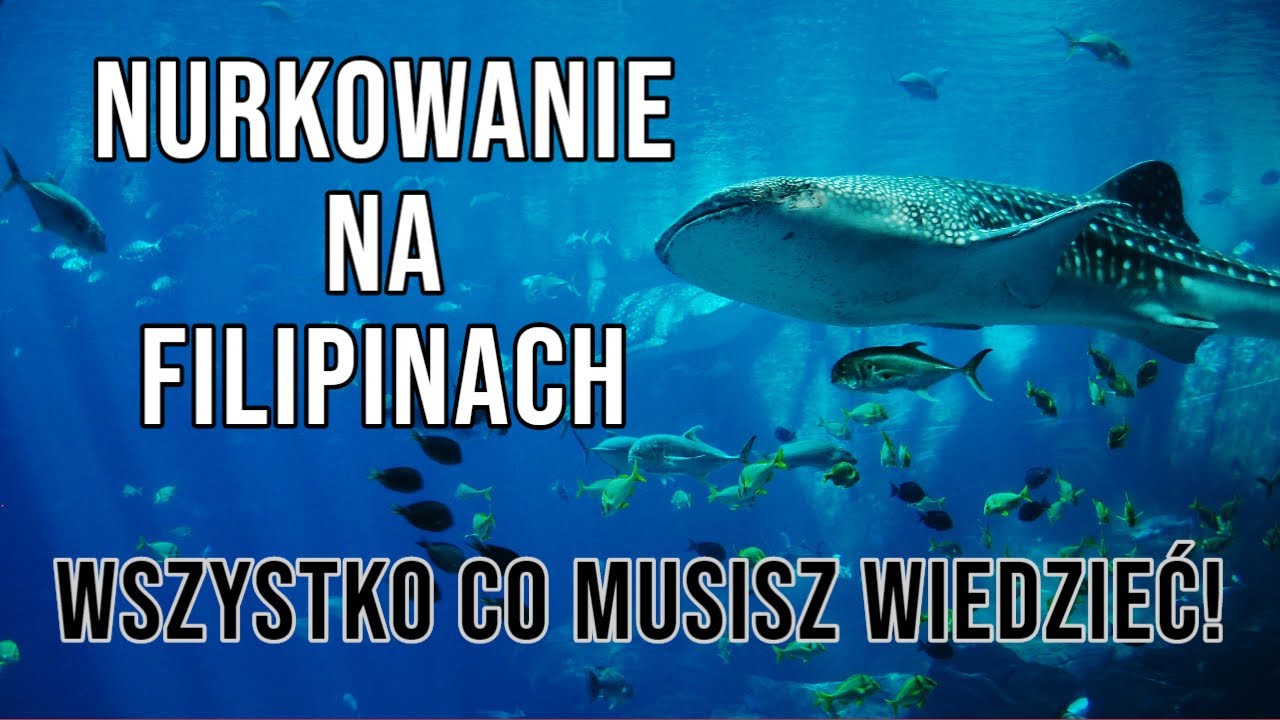 Nurkowanie na filipinach - Przydatne informacje [4k]