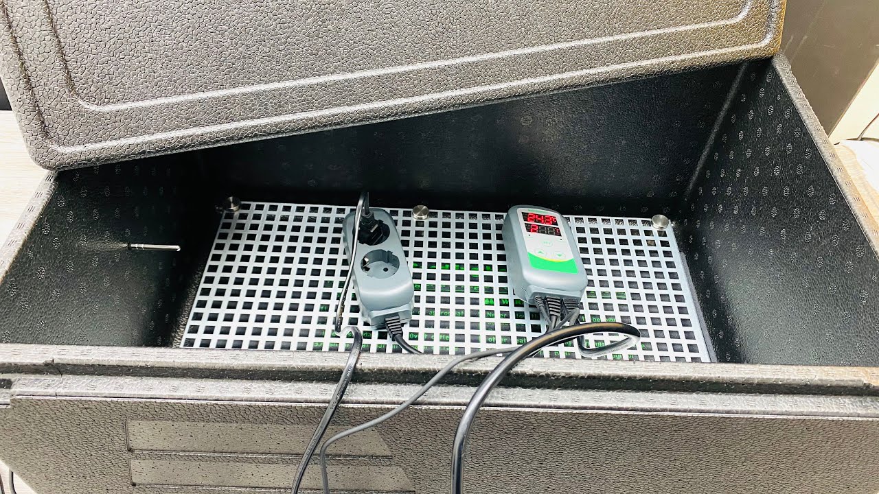Thermobox / Inkubator ganz einfach selber bauen für die Pilzzucht