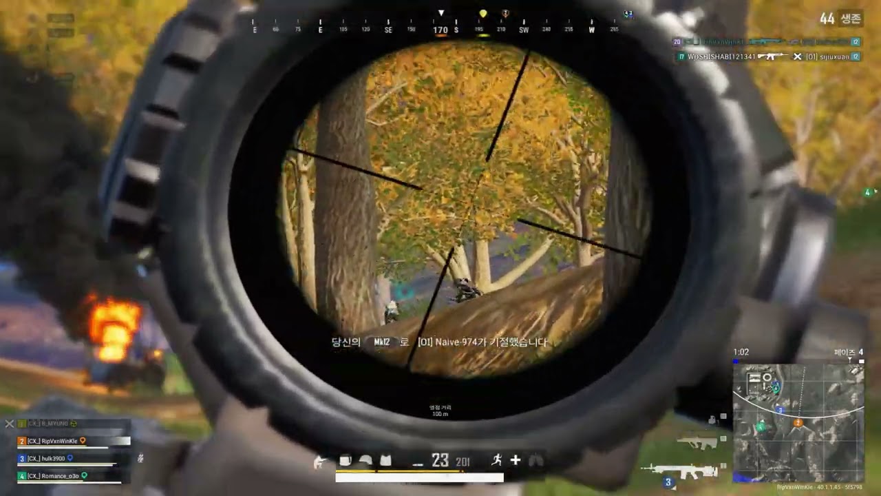 누군가의 아기몽키 짹이 l RipVanWinKle l PUBG l 배그매드무비 l montage