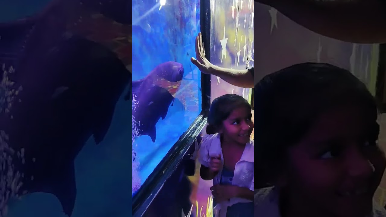 Fishing fair🧜✨#youtubeshorts #lifeisbutadream #v log #jalparishow ANKLESHWAR 